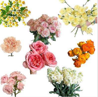 Sweet Citrus DIY Flower Box