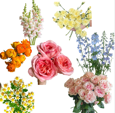 Spring Pastels DIY Flower Box